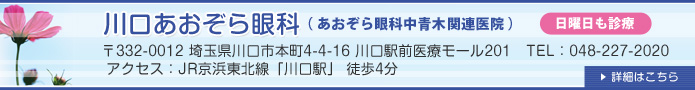 川口あおぞら眼科